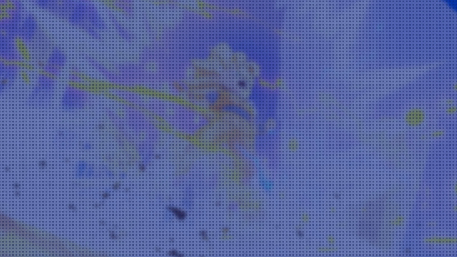 Son Goku (Mini)
