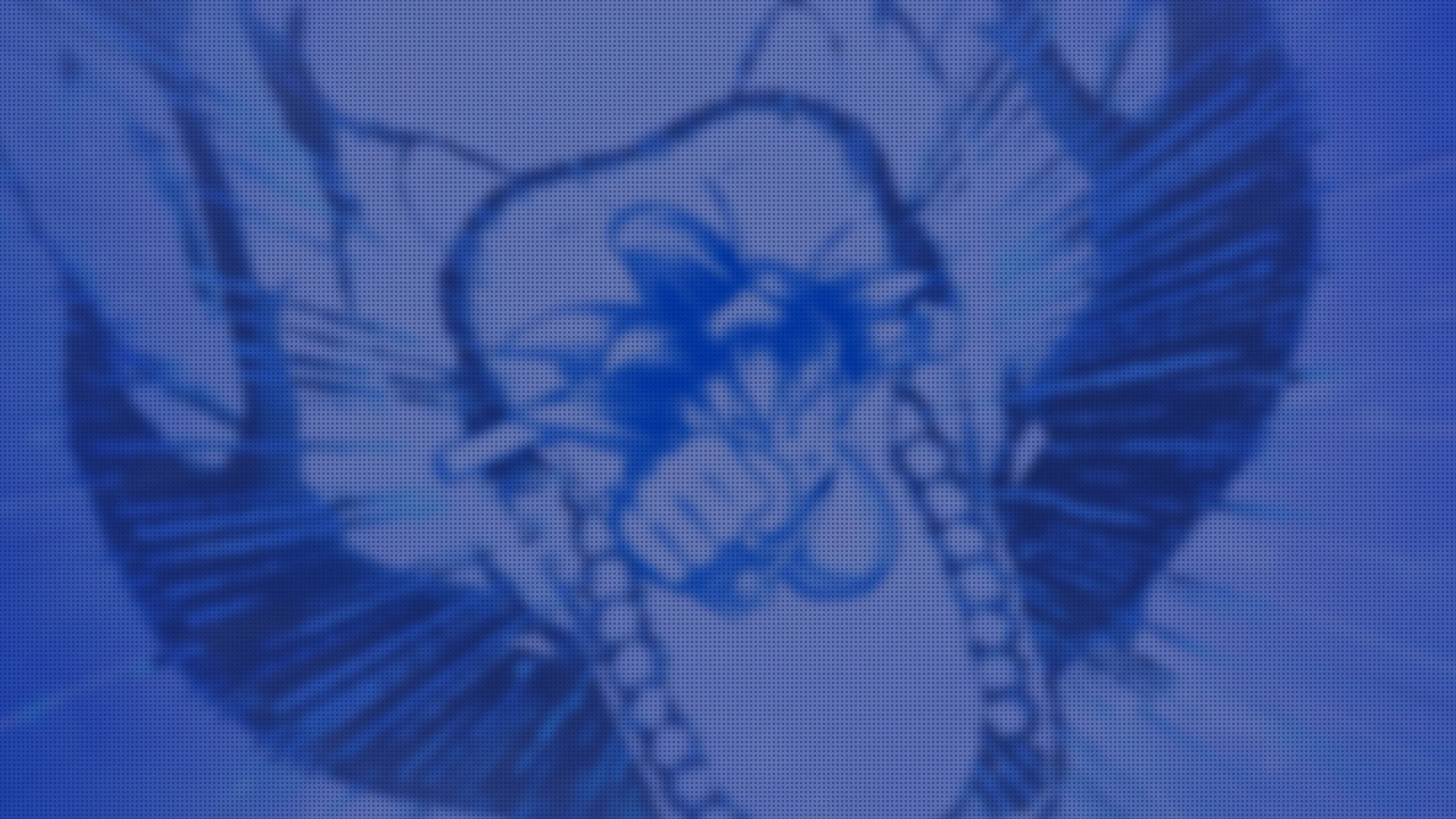 Son Goku (Youth)
