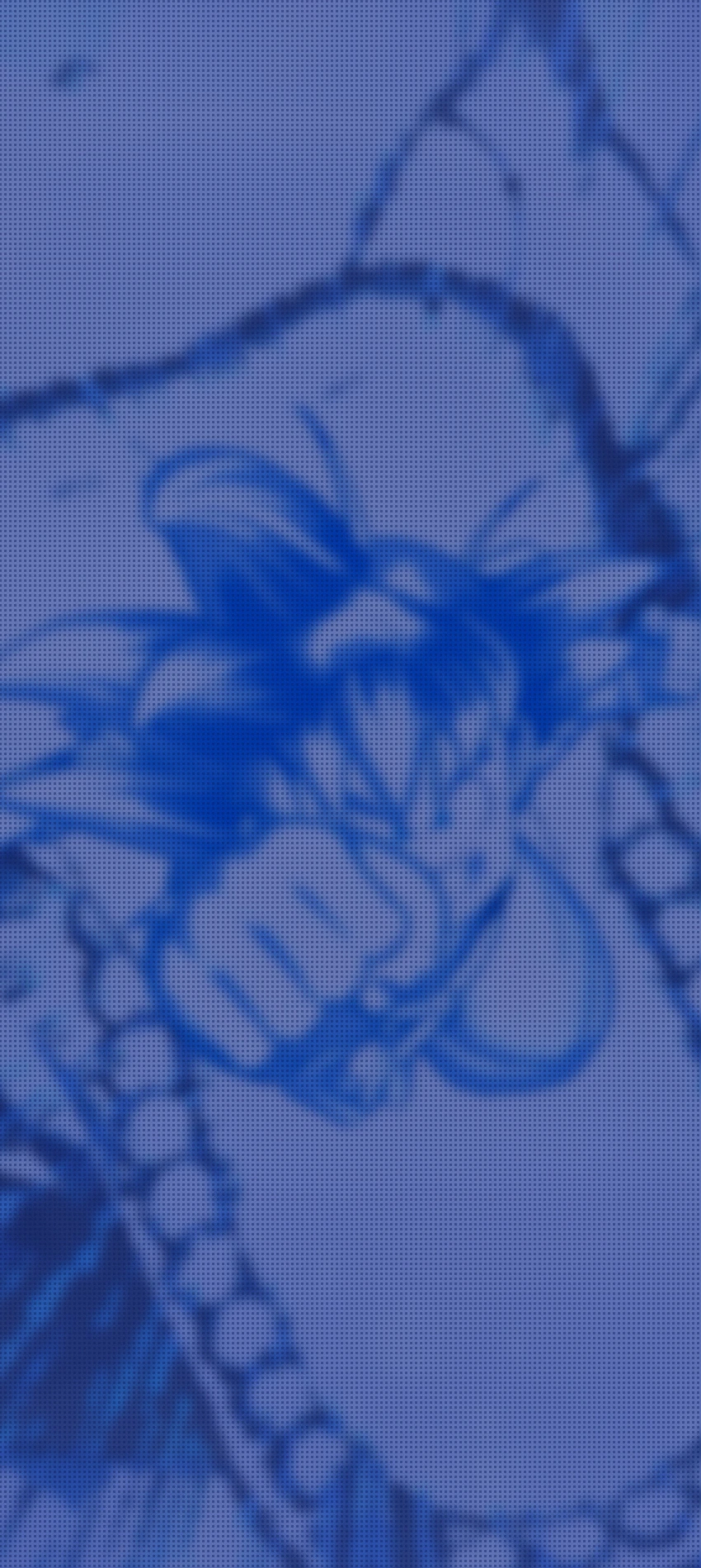 Son Goku (Youth)