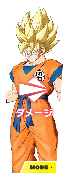 ダメージ