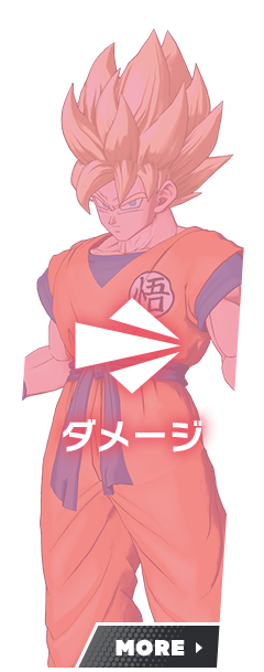 ダメージ